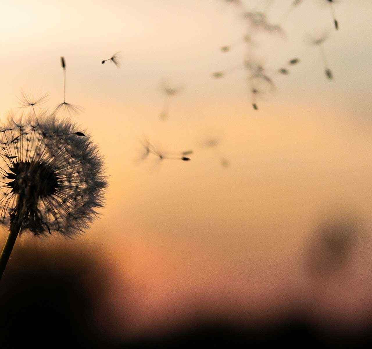https://www.studiolegalearena.it/wp-content/uploads/2018/09/post_02-1280x1200.jpg
