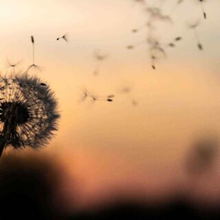 https://www.studiolegalearena.it/wp-content/uploads/2018/09/post_02-320x320.jpg