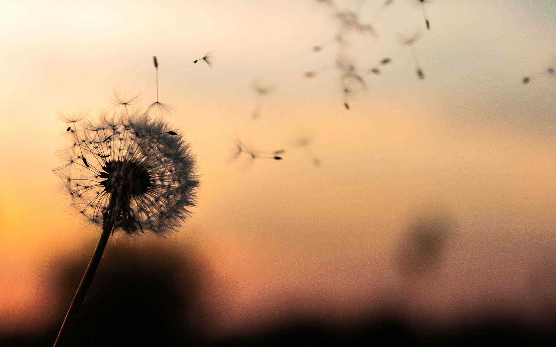 https://www.studiolegalearena.it/wp-content/uploads/2018/09/post_02.jpg